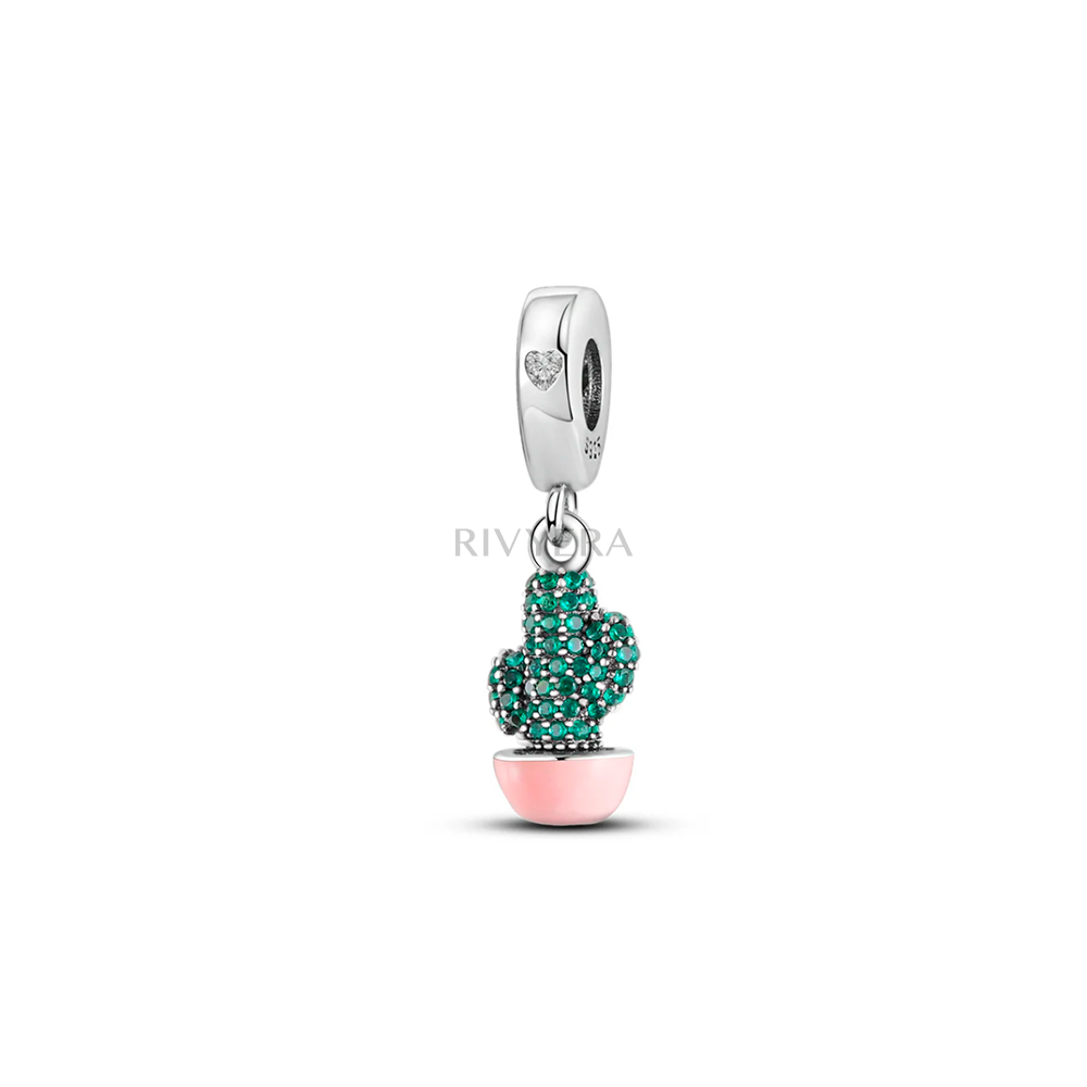 Kaktus Charm